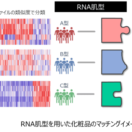 RNA肌型を用いた化粧品のマッチングイメージ