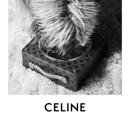 ELVIS  PORTRAIT OF A CELINE DOG ©HEDI SLIMANE Image by CELINE