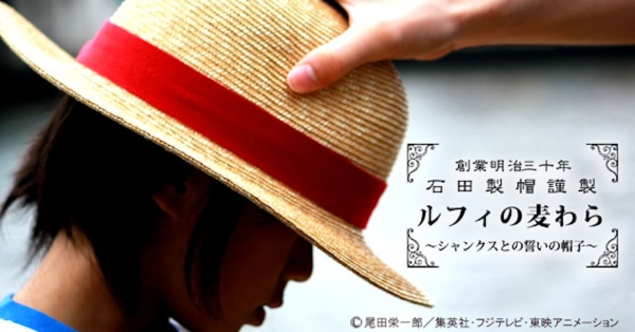 竹内 まりや カーハート 冷蔵庫 小型 販売のためのワンピース麦わら帽子 Shinobazu Prj Jp