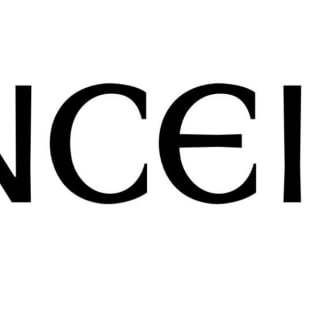 「インセイン（INCEIN）」のロゴ