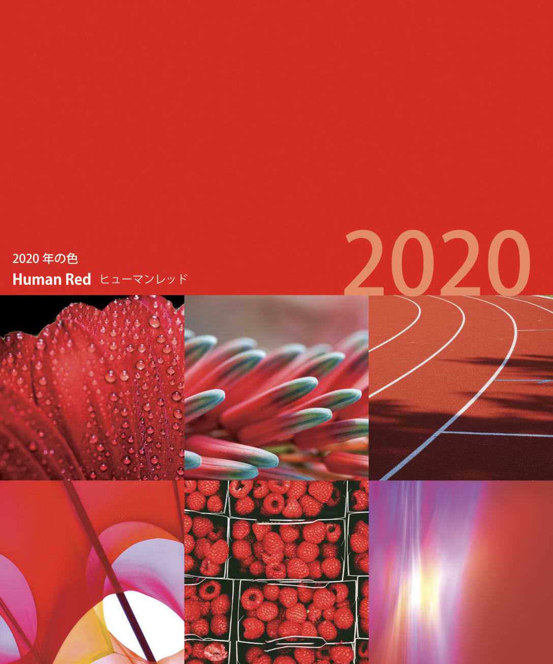 2020年の色「ヒューマンレッド」 Image by 日本流行色協会