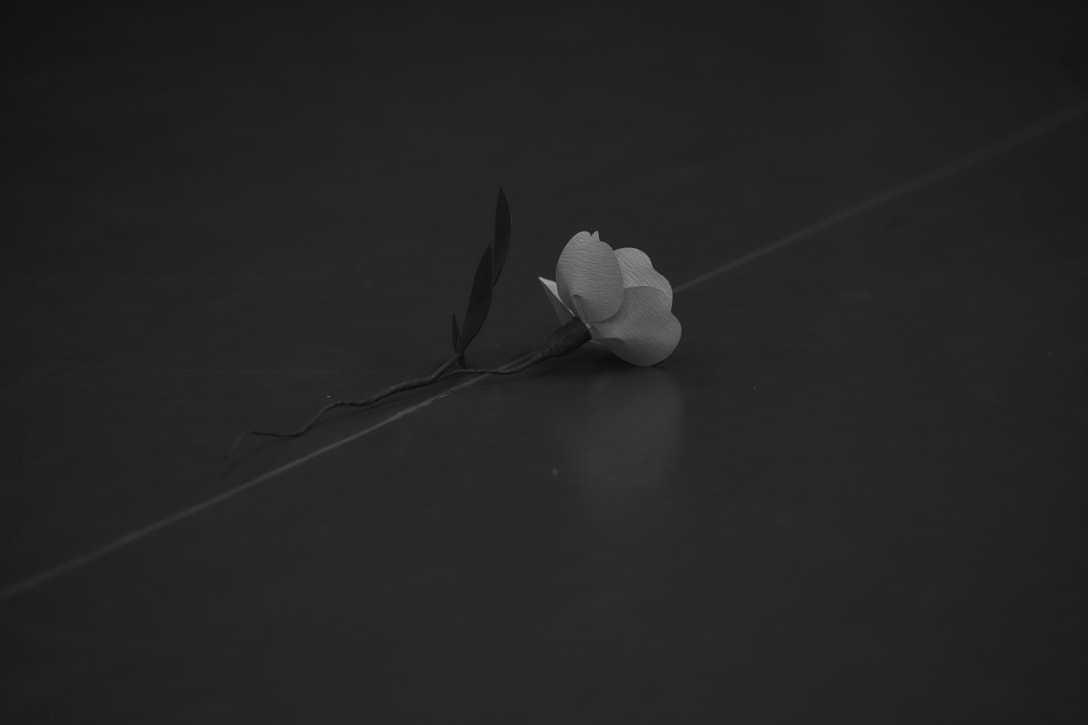 Image by N.HOOLYWOOD