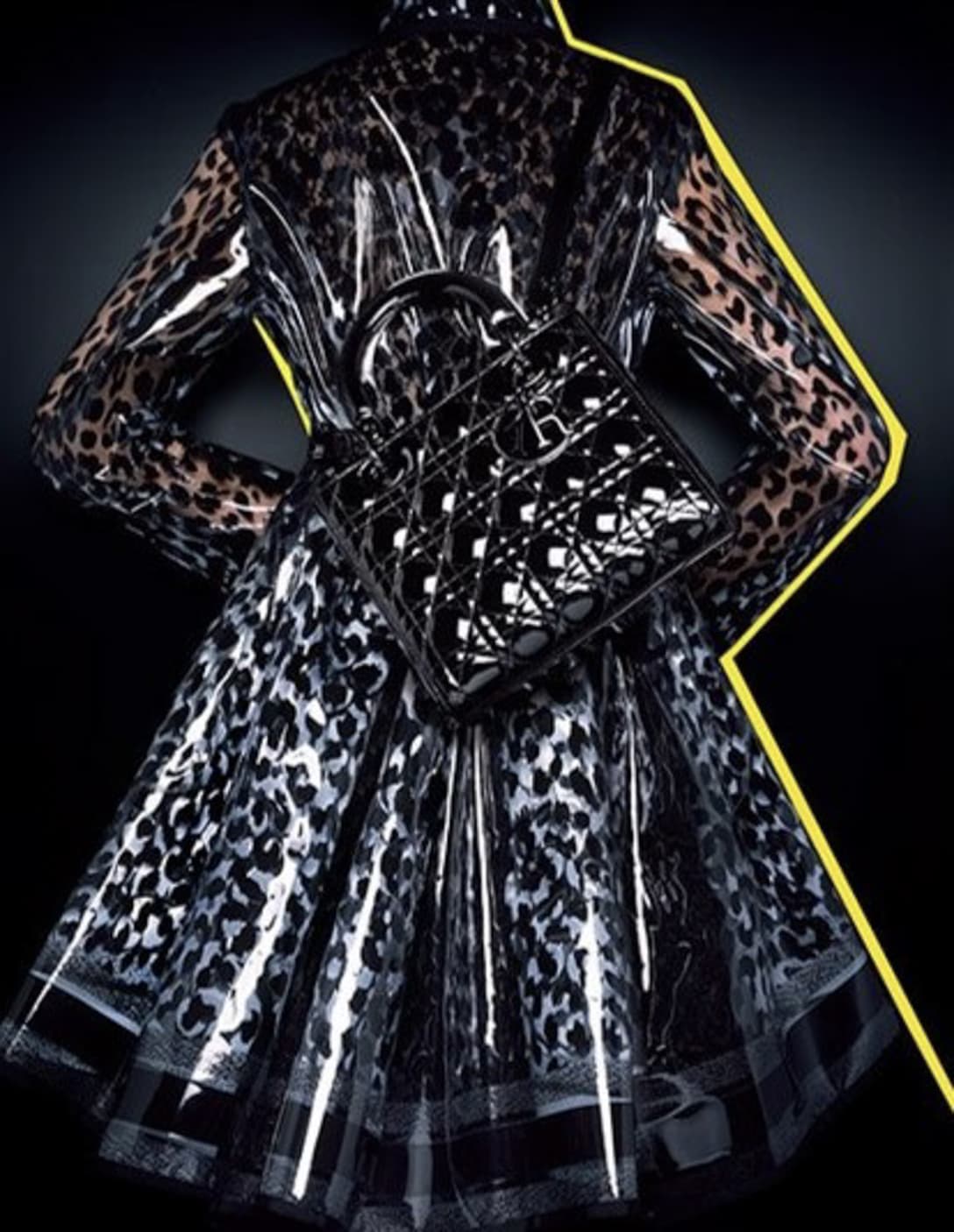 イメージヴィジュアル Image by DIOR