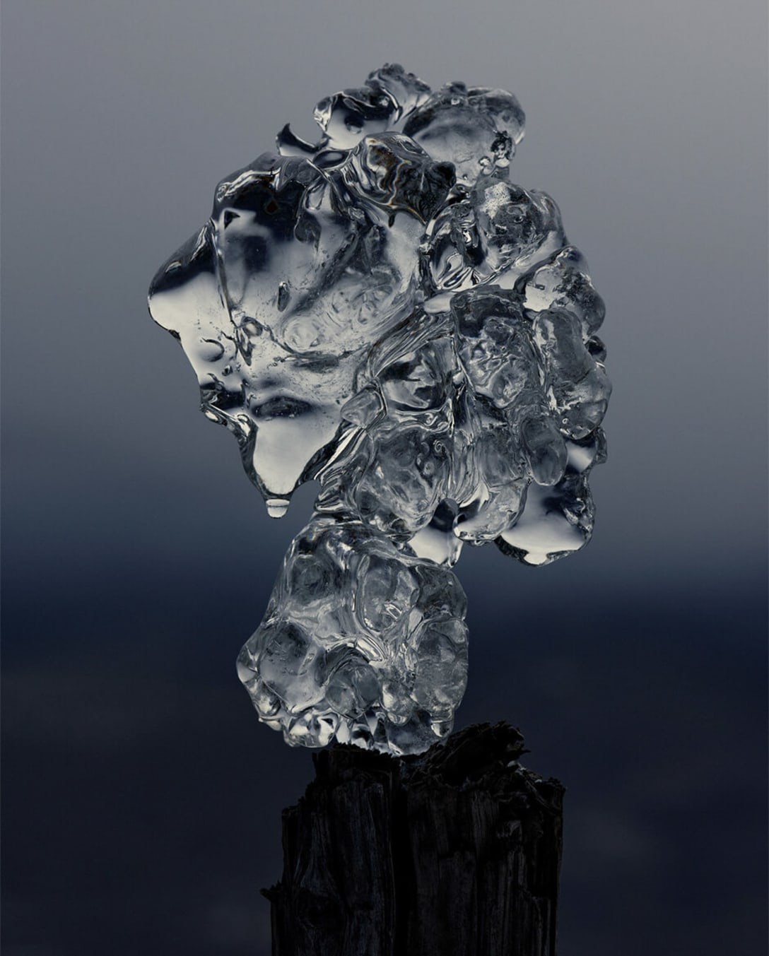 「Greppon」シリーズより Untitled, 2021