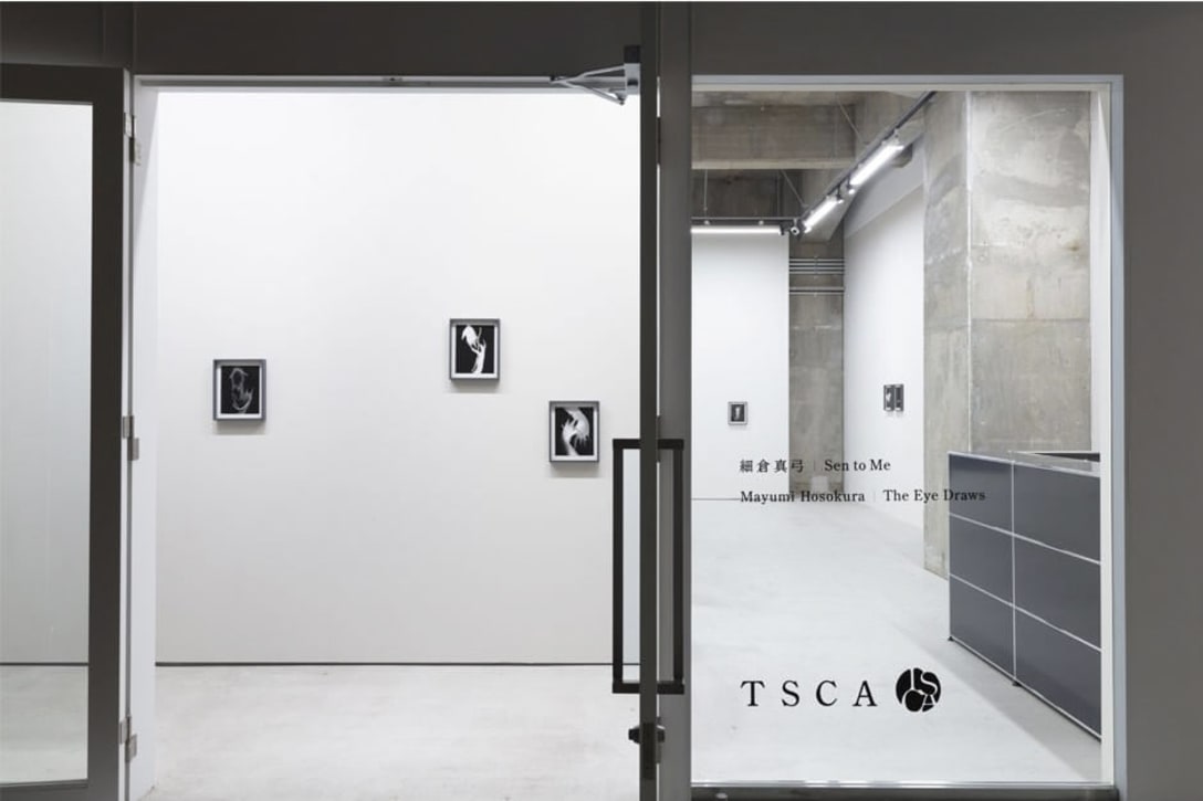 Installation view of Mayumi Hosokura "Sen to Me," photo by Shu Nakagawa. Courtesy of Takuro Someya Contemporary Art.