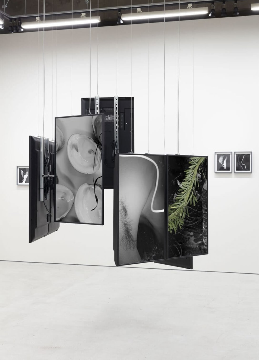 Installation view of Mayumi Hosokura "Sen to Me," photo by Shu Nakagawa. Courtesy of Takuro Someya Contemporary Art.
