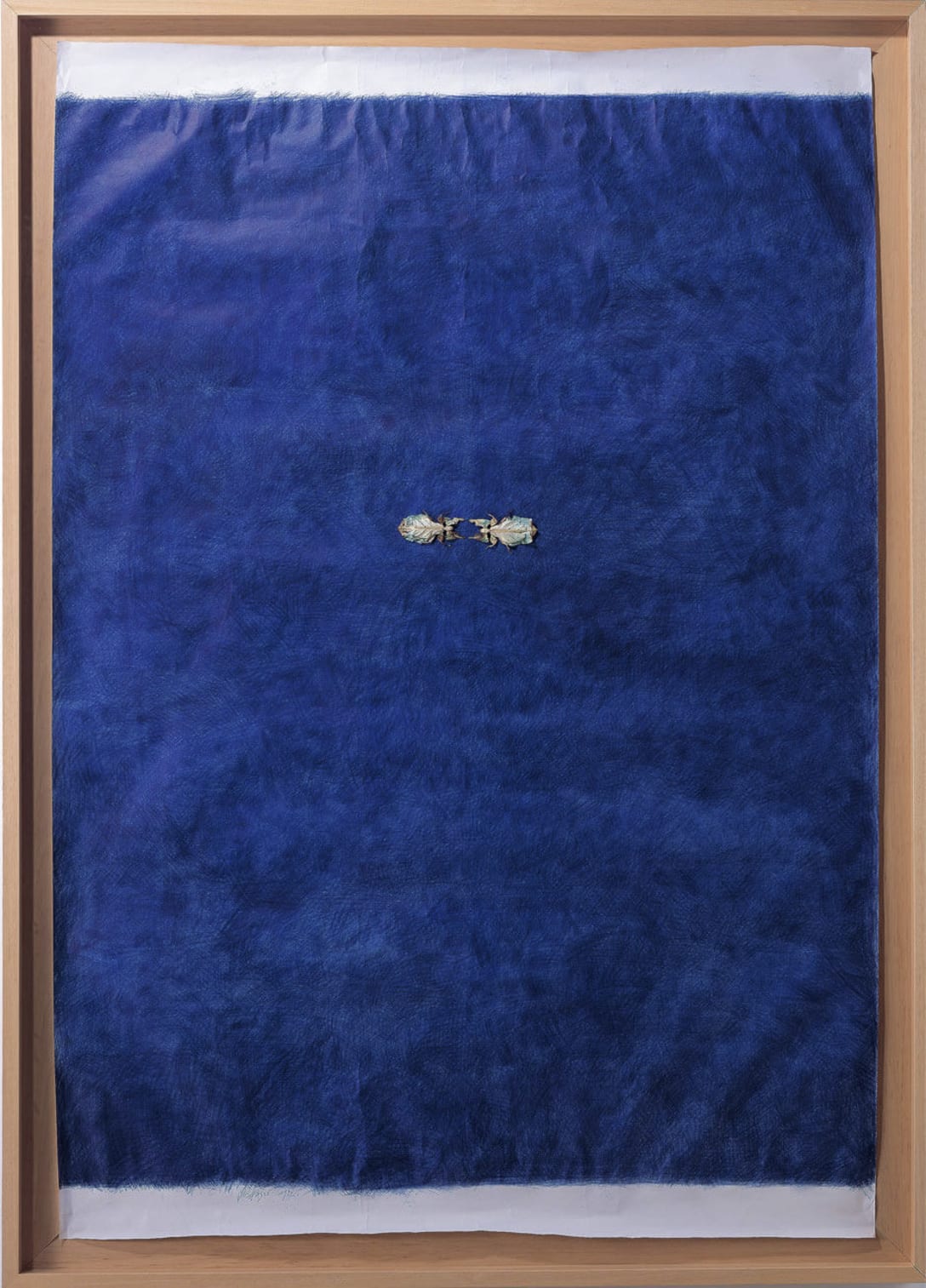 ヤン・ファーブル《コノハムシ》1992 © Angelos bvba / Jan Fabre, photo: SAIKI Taku