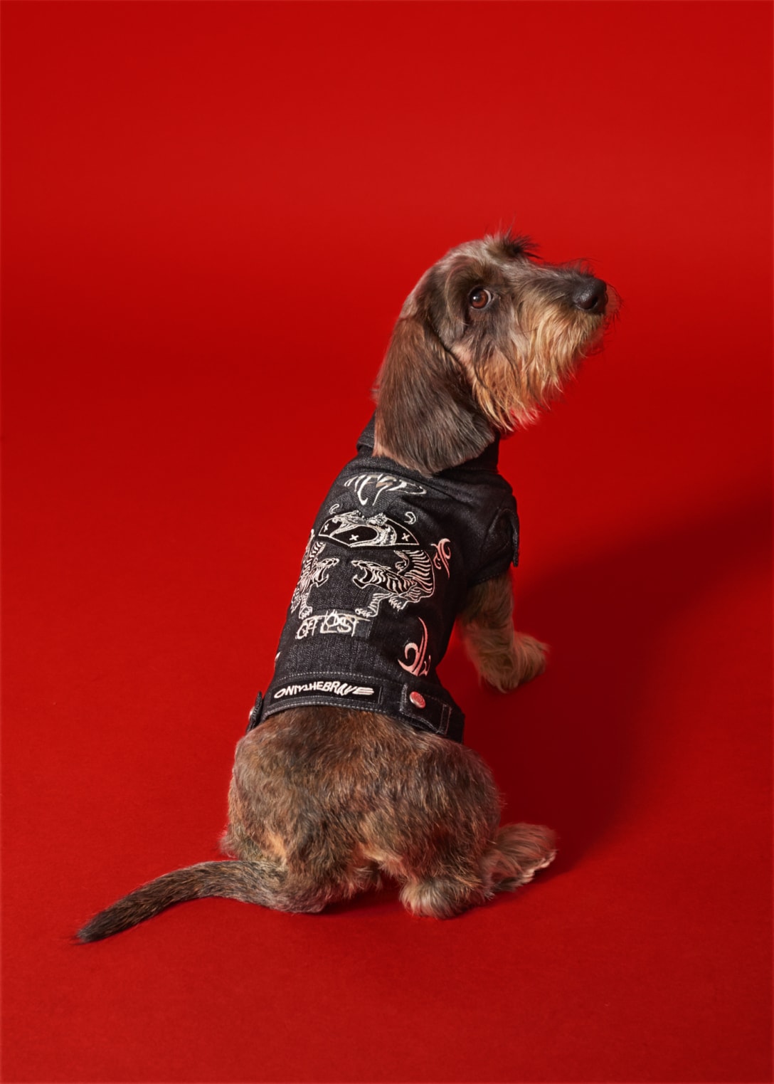 ブラックデニムジャケット(税込2万2000円) Image by DIESEL