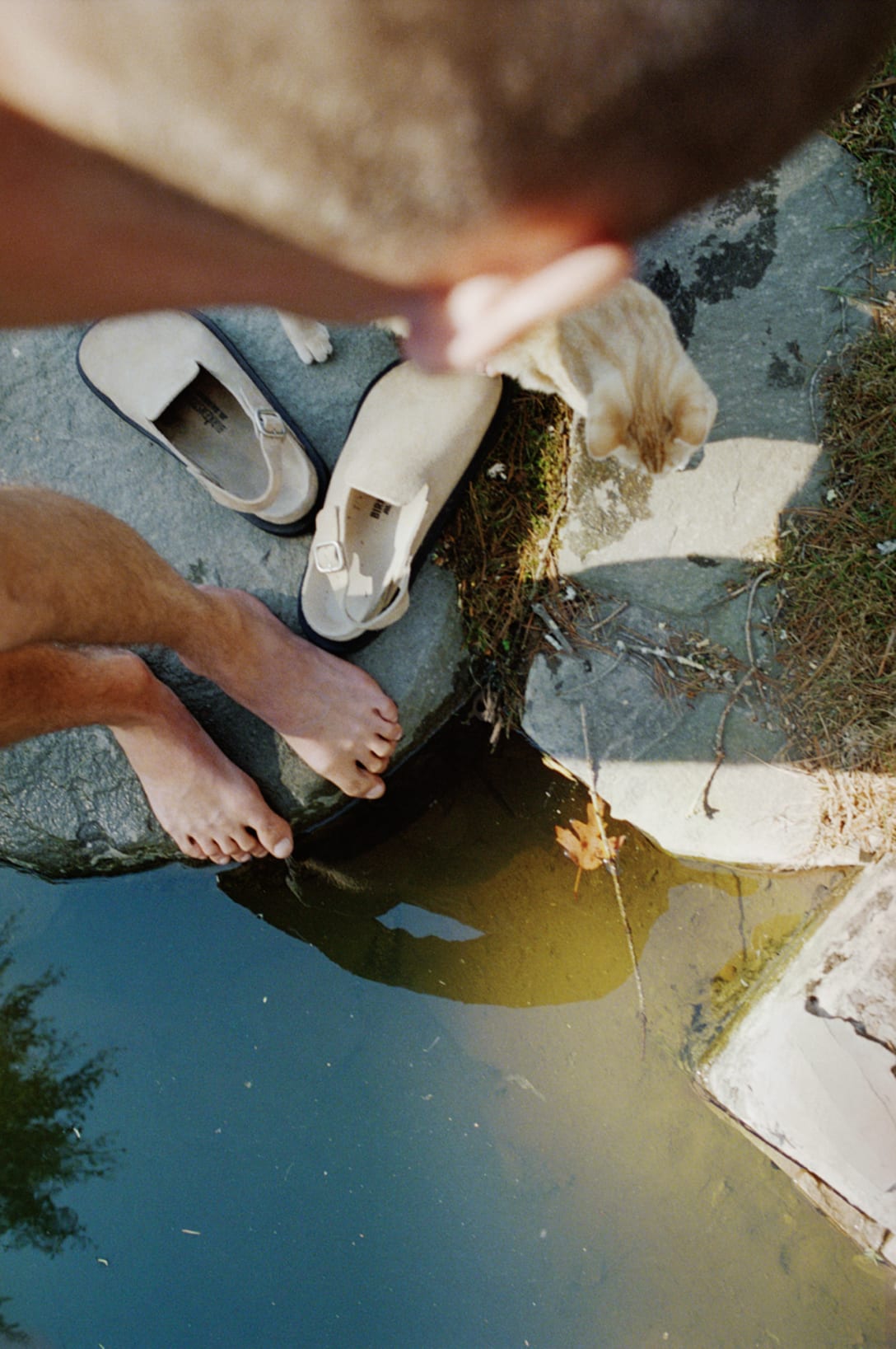 BIRKENSTOCK x JIL SANDER+ Image by Talia Chetrit